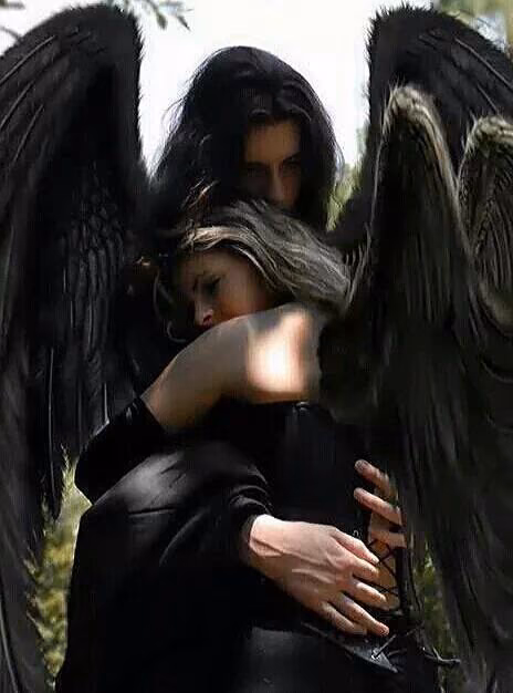c97a4d5ba4c25b5bd18758796e22c781.avif