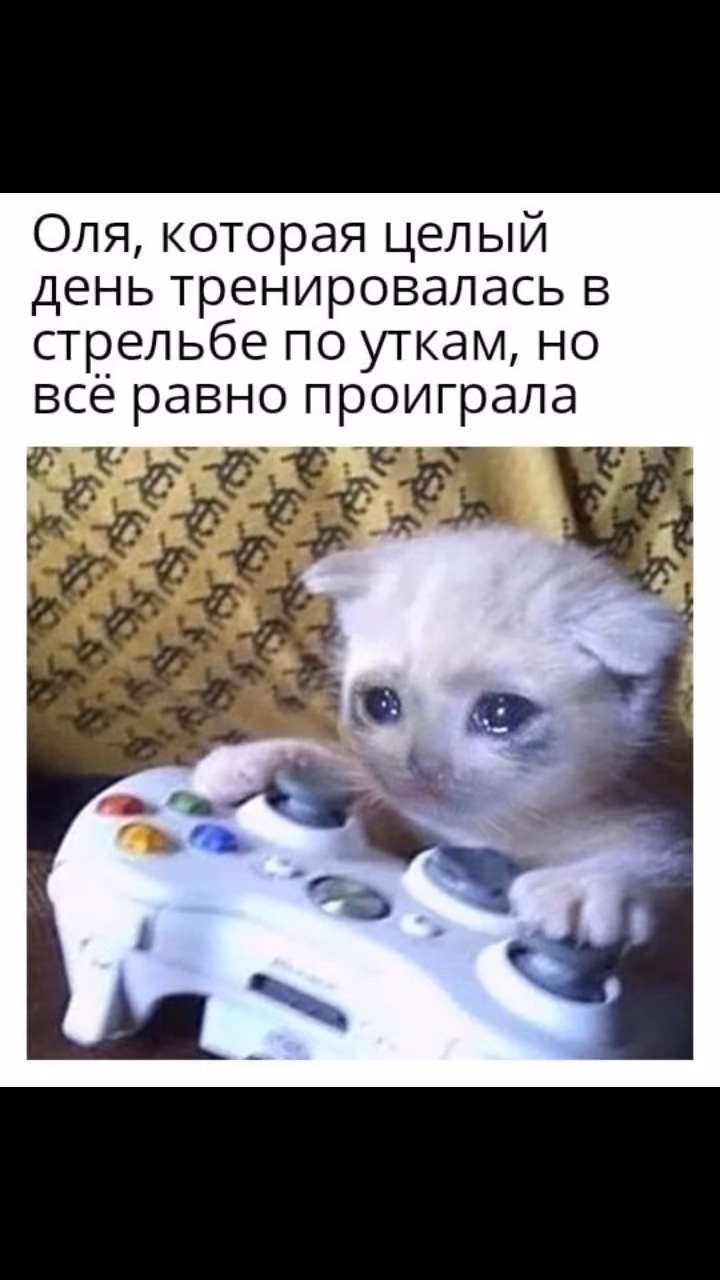 c99e00c6cf120fd320e80541b2eea931.jpg