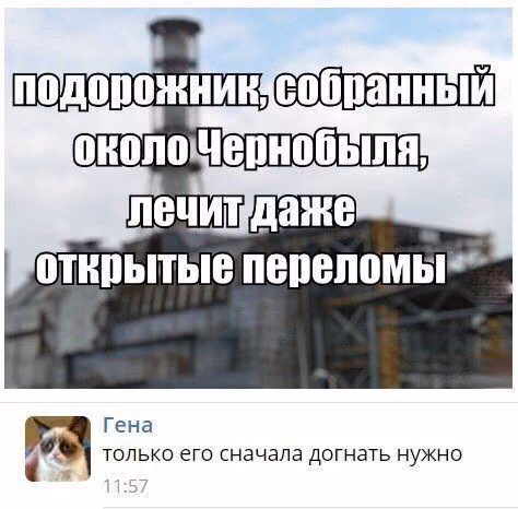 c99e41a83e99deccbcadb32ffc759e53.jpg