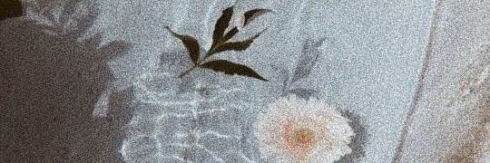 c9b31d568441e1851253a833c7208fba.avif