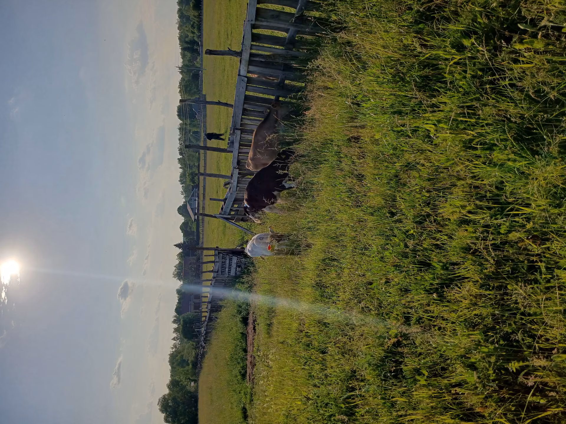 c9b5744dcb8a720448268abcda1ac0a7.jpg