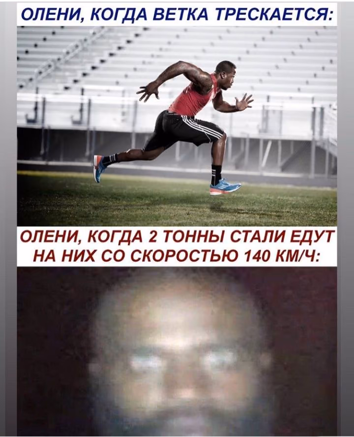 c9c4ea4f955583eea4269aab69e5361d.avif