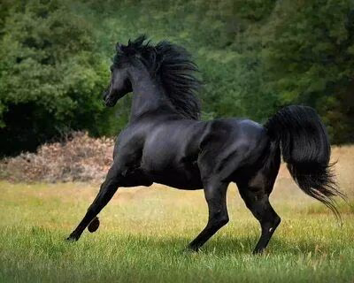 c9f4988d0f715955b0f78a63b06890df.avif