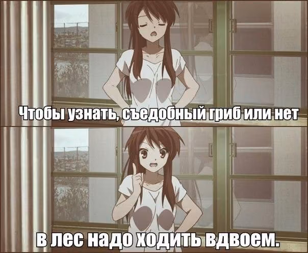 ca0c80be37f50b099070de8ed765848c.avif