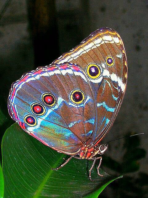 ca3d20a49f5078becb1f059a2b135770.avif