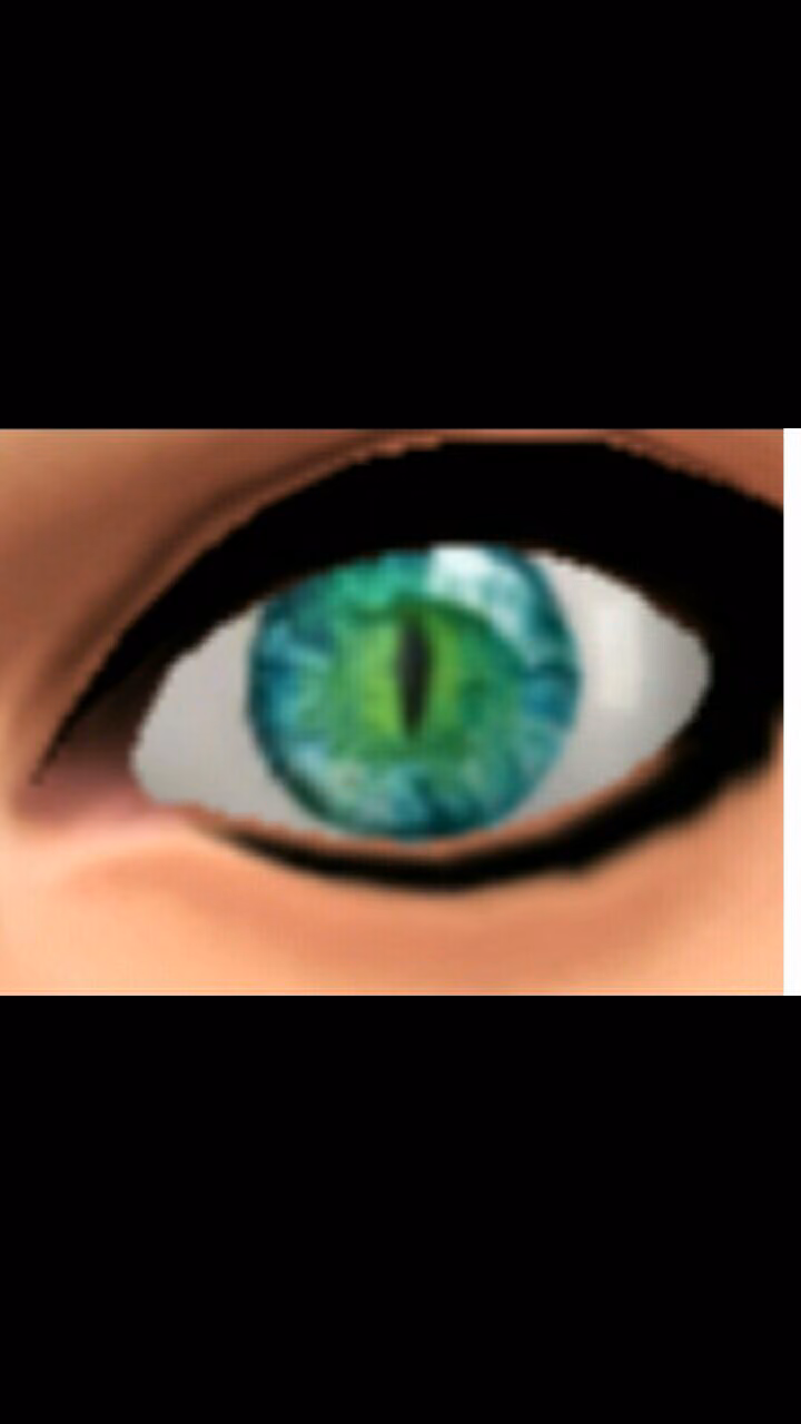 ca3d46087466cd368ffb236b9c00fcd7.jpg