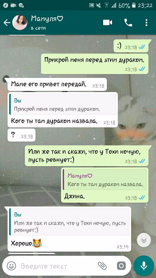 ca3e9a6d16236b84edac594dafce07b5.avif