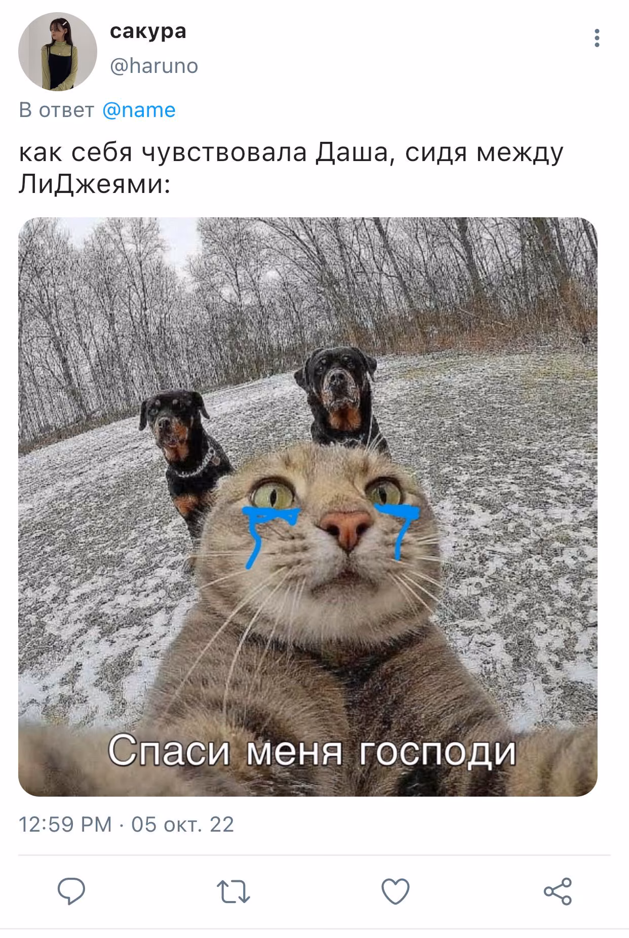 ca4b7d5b4f8bea43ed63635e91583817.jpg
