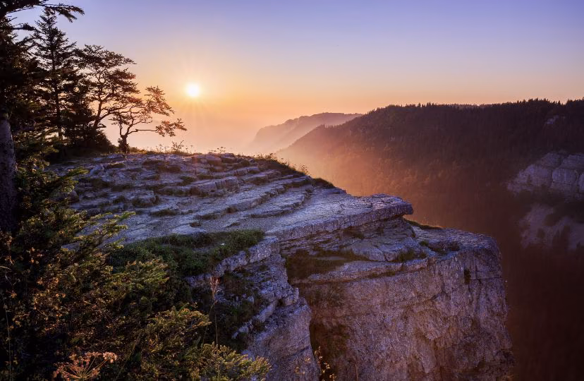 ca6877e3ef3ccacbec60e898183c4956.avif