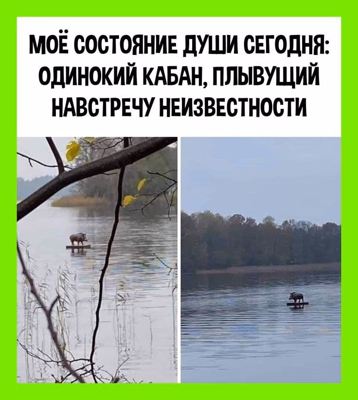 ca6ebab5848954d19b10192d36bc0131.avif