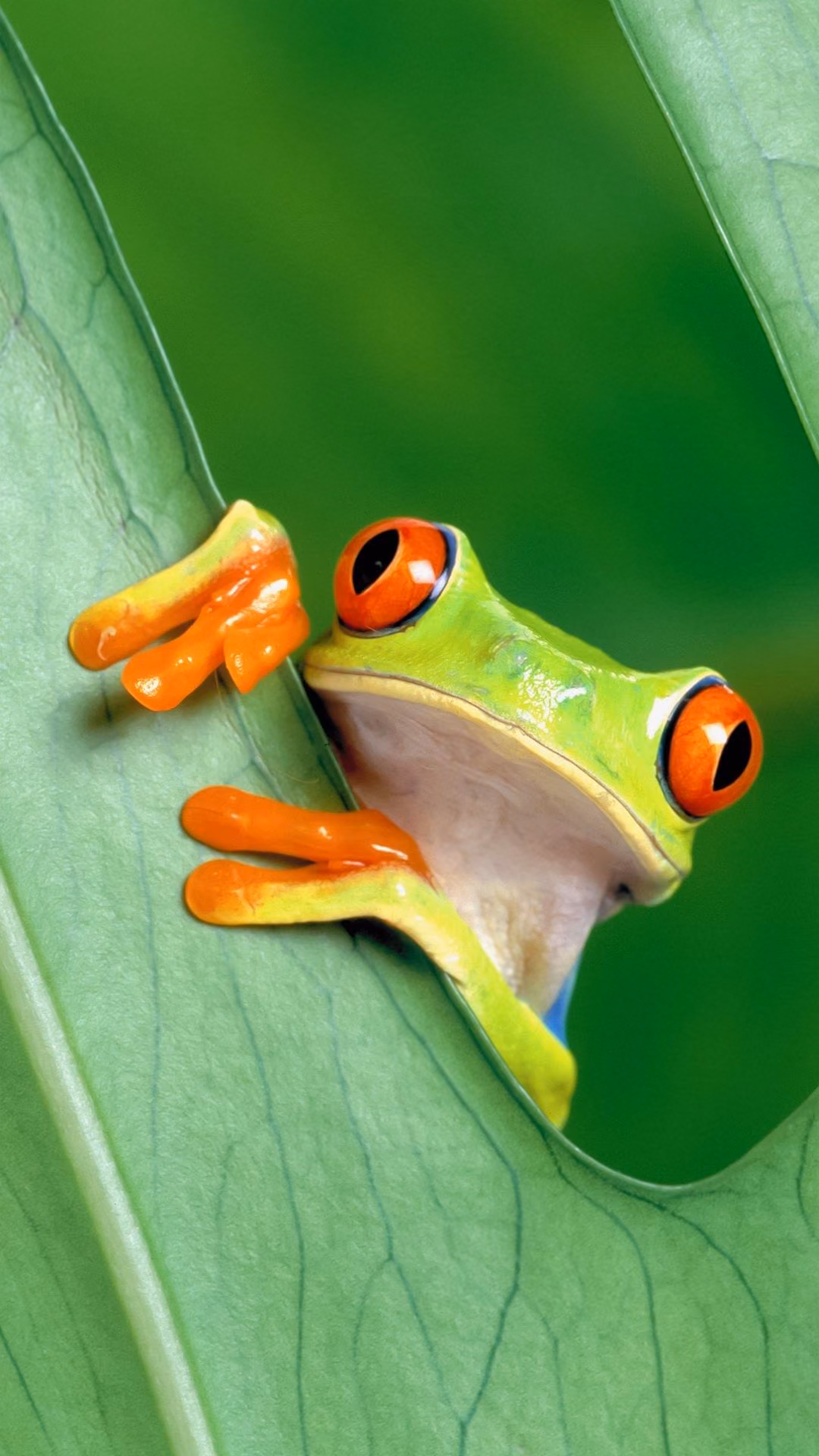 ca6f01add9d2f6146bddb12f9ec5fc23.jpg