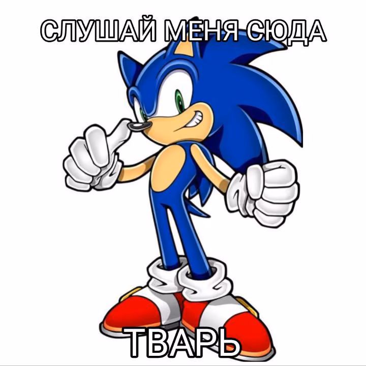 ca7839a0c6a5de4c7c911dca13a0b5d4.jpg