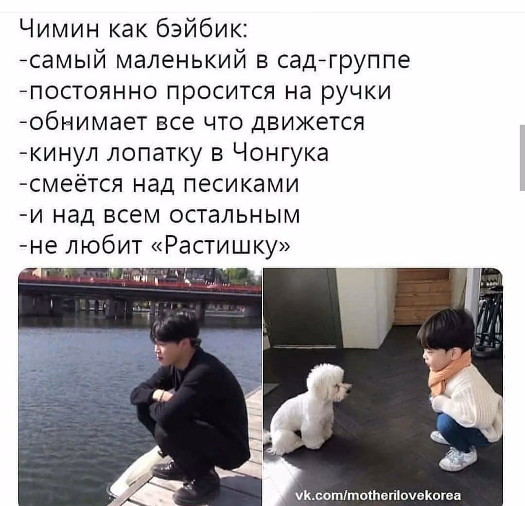 ca7a321f83fcc8ede0e9c3c2fe8160cc.avif