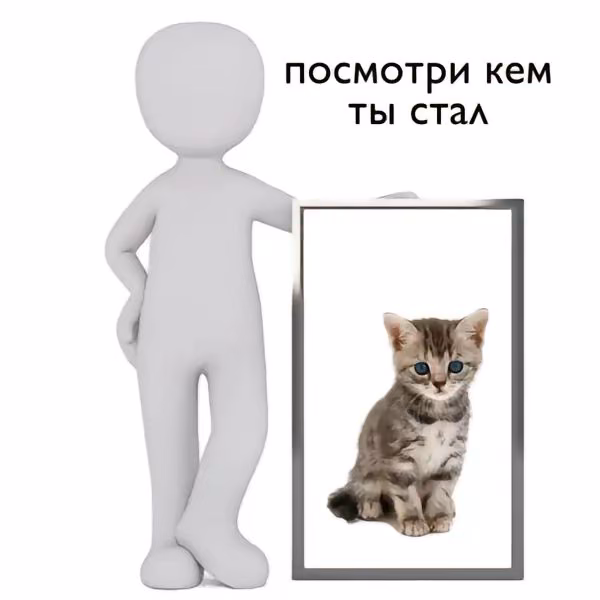 ca7af26025fb39c67cdfd4b1d9b47b5f.avif