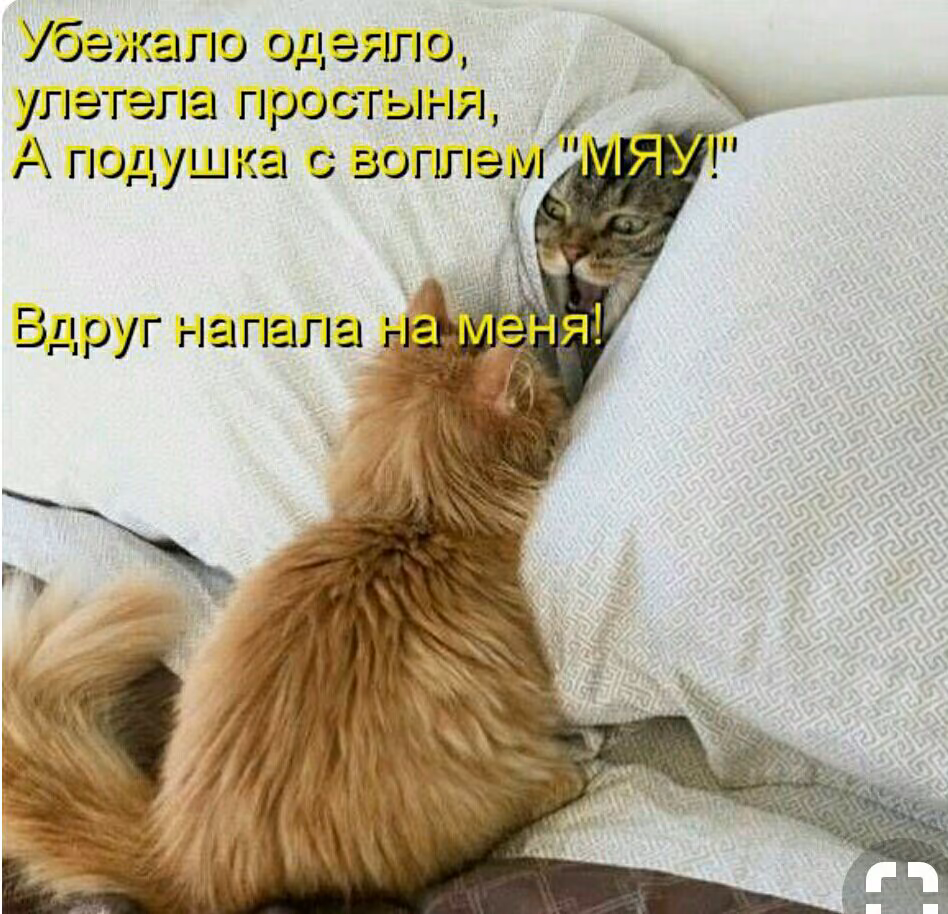 ca88f6d3046fed2fd5c36a15ee3af1fd.jpg