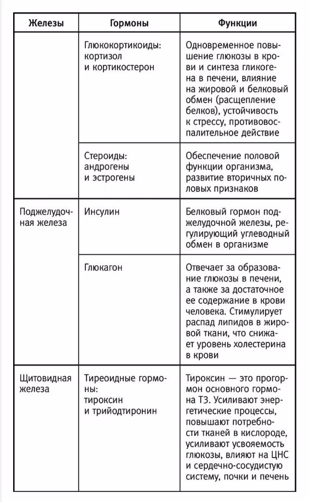 ca8af4537ec28e63a75240a75f77f84a.jpg