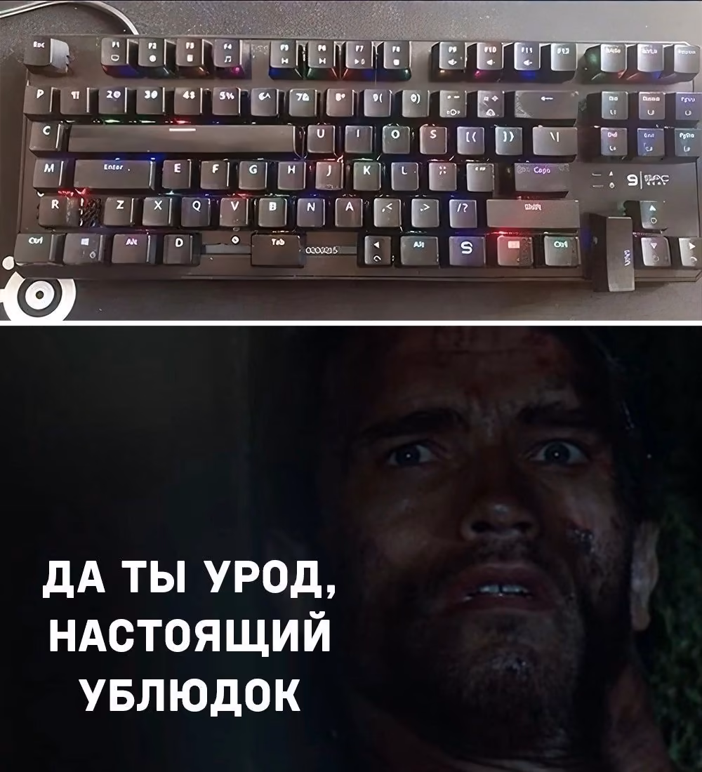 ca8d09bac23b33dc2f960acdb399c9f8.jpg