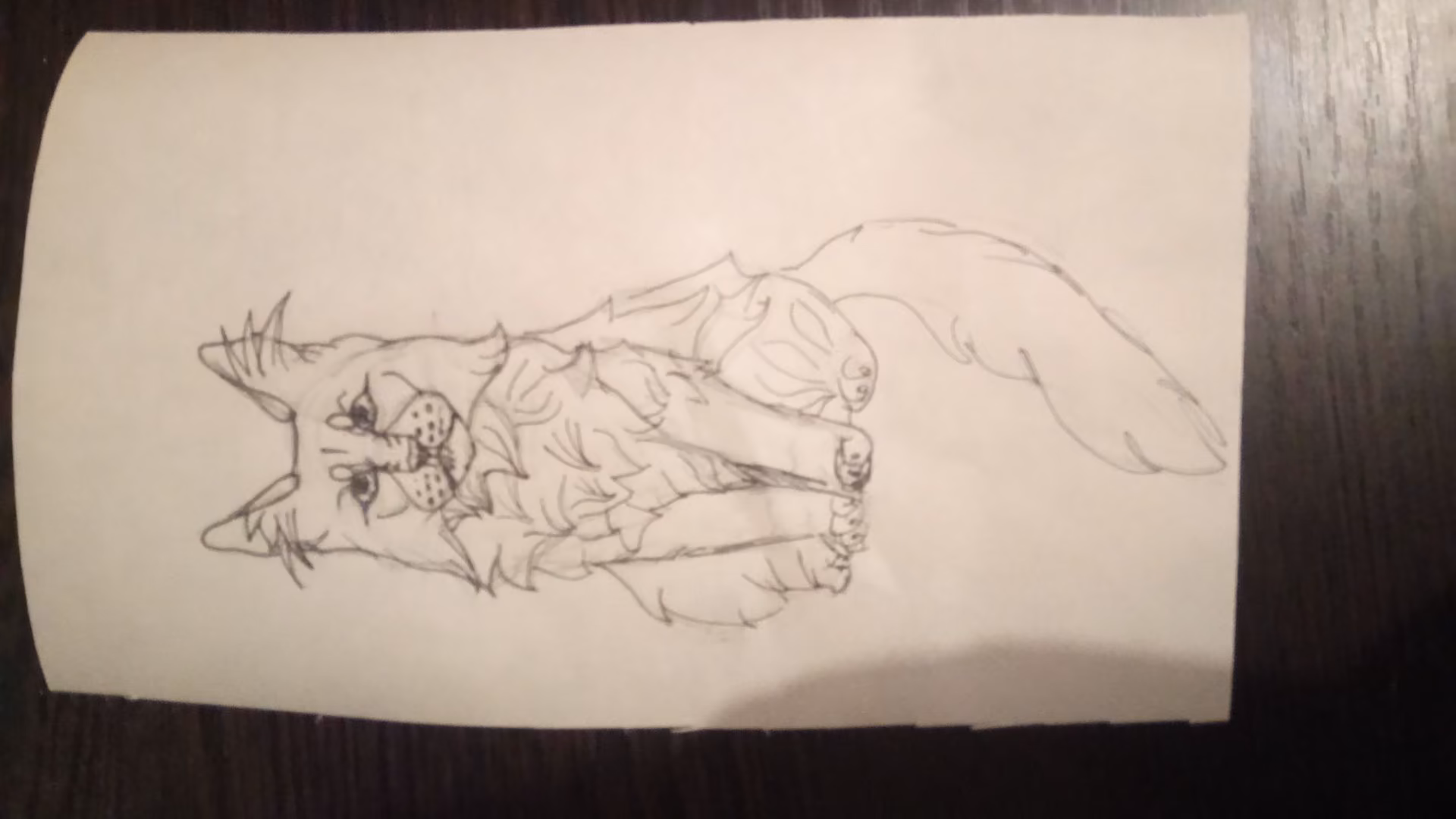 ca98f1d8de645a98a672c686bfb1710b.jpg