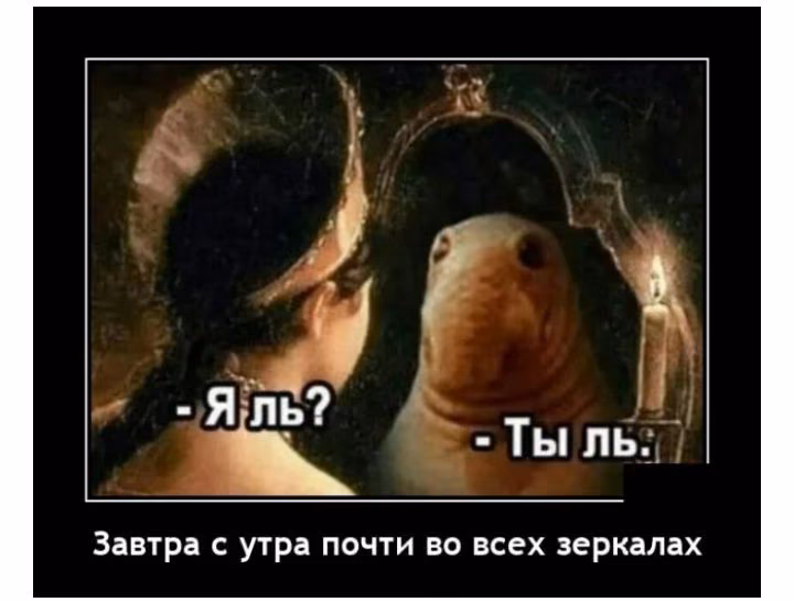 ca9fdf10f215079036556ab6b5ca8869.jpg