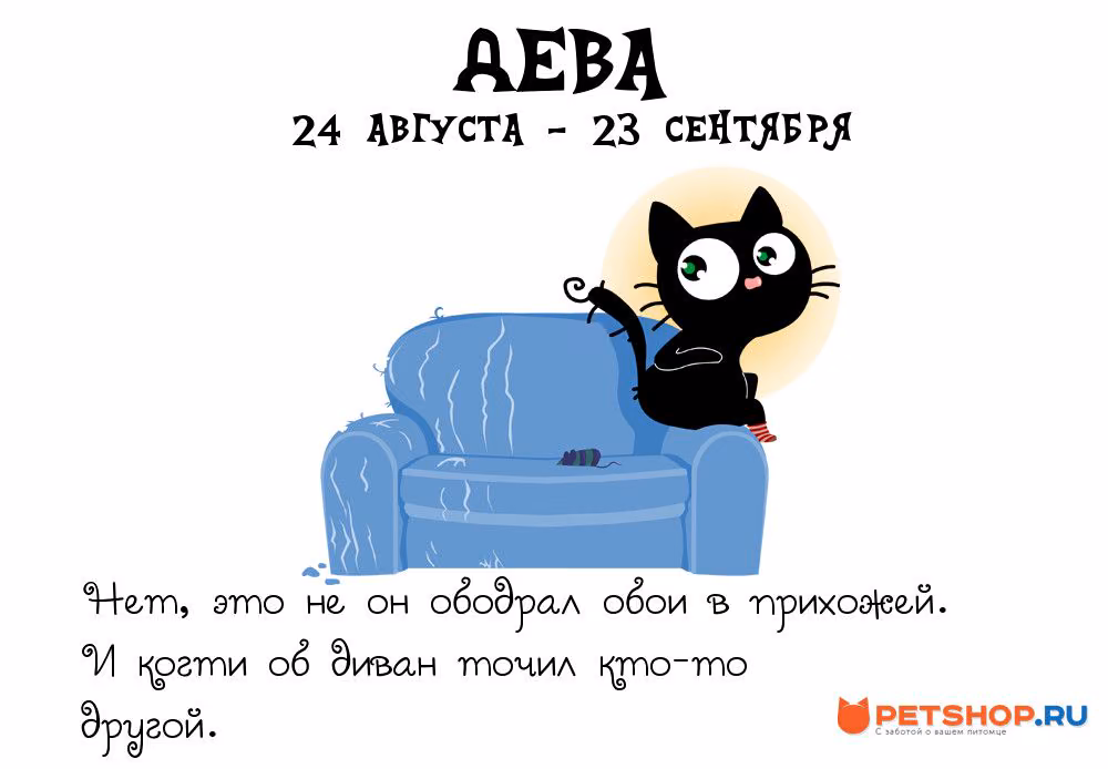 cab36c629bbacd6572d0e6fff418511f.avif