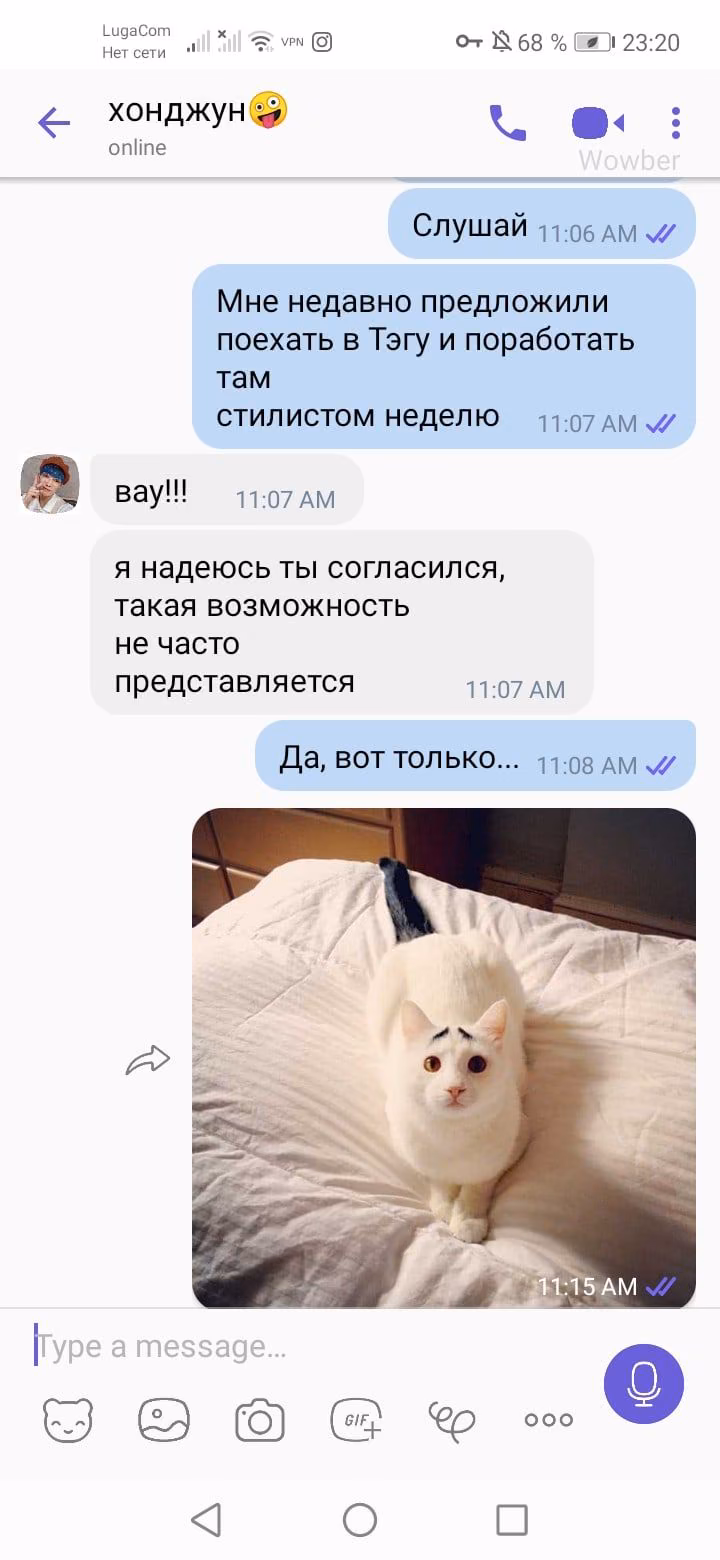 caca761da37cc93e4740a789f0514738.jpg