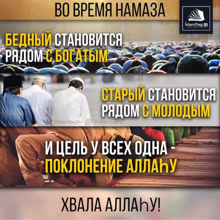 cae606e15ca7b0641ed4d81b2ba21bd3.jpg