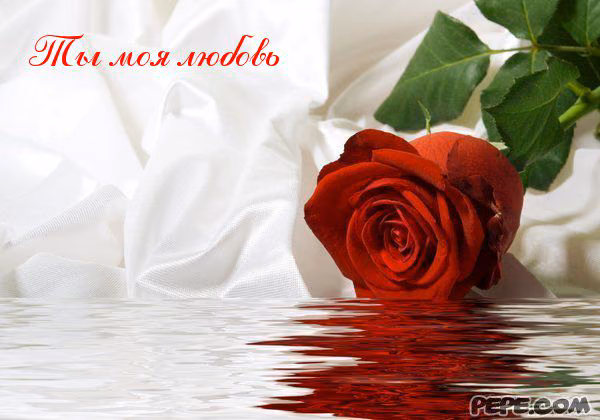 cb00af5c87a032bec6ca54251c6694de.avif