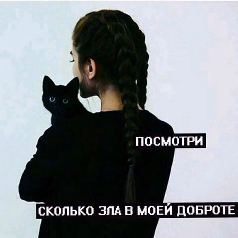 cb116e286c169695443e7be5637a35f6.avif