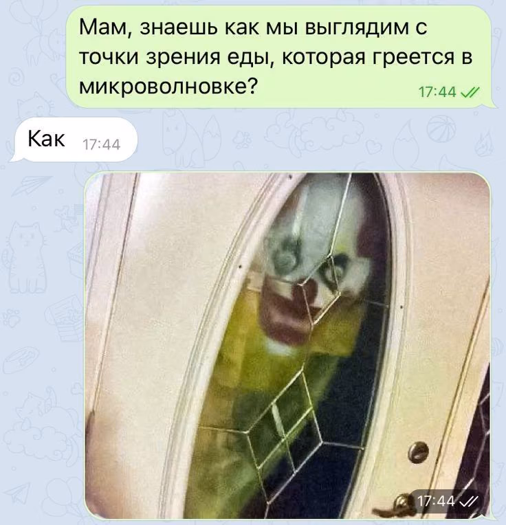 cb2001c82d1b9d7c86f55675507faa51.avif