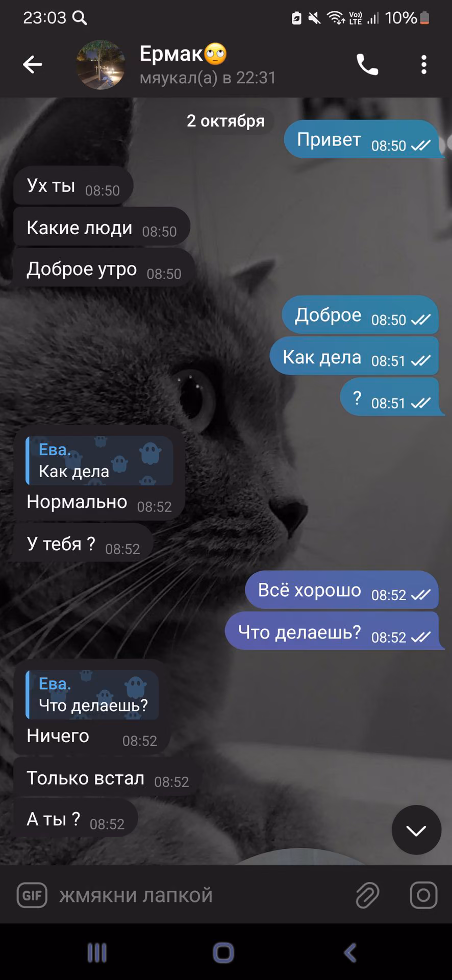 cb29954f51ebab1de9855178ad1fa21e.jpg