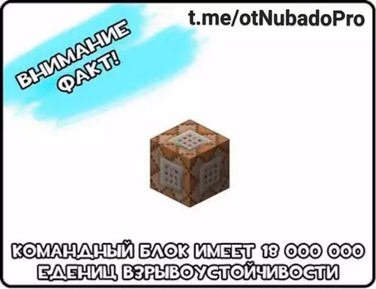 cb42325d8d127a86202ea509d447e339.jpg