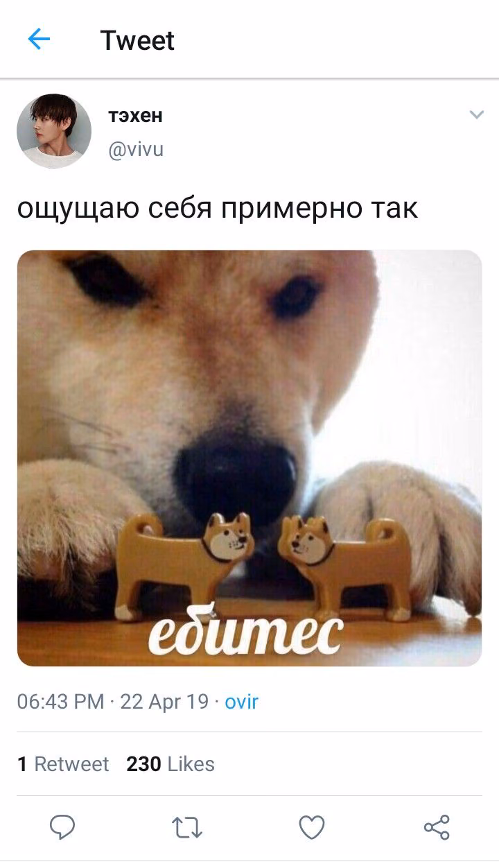 cb6f18acf7b83d1060d5d19c03f92de3.avif