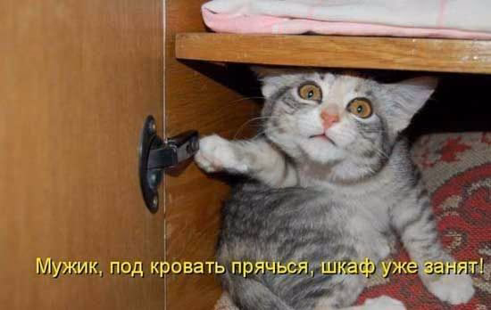 cb75f00c6a64b62a820d0e4ceafa9f90.avif