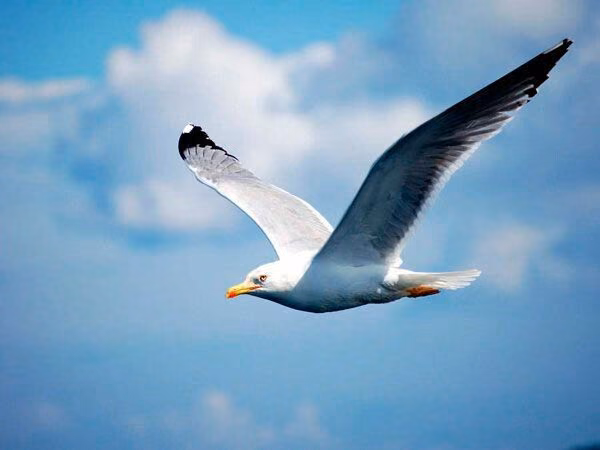 cb766613b0ffa7f885242c6a738a7fa4.avif