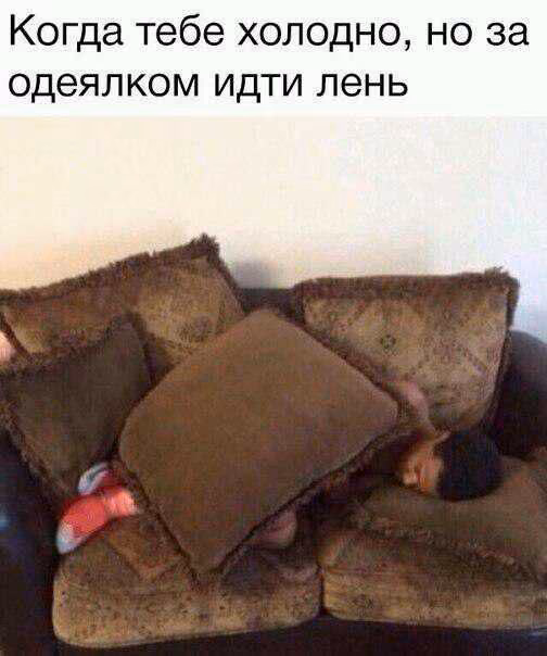 cb968f7d9e486c6fb921744d0b67db1f.avif