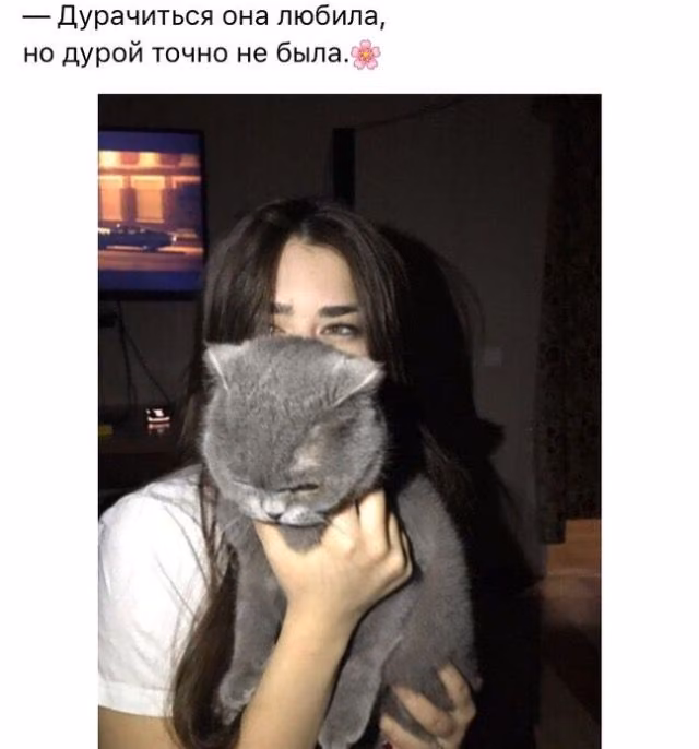 cba350f669c4e15da88f3e76916aa274.avif