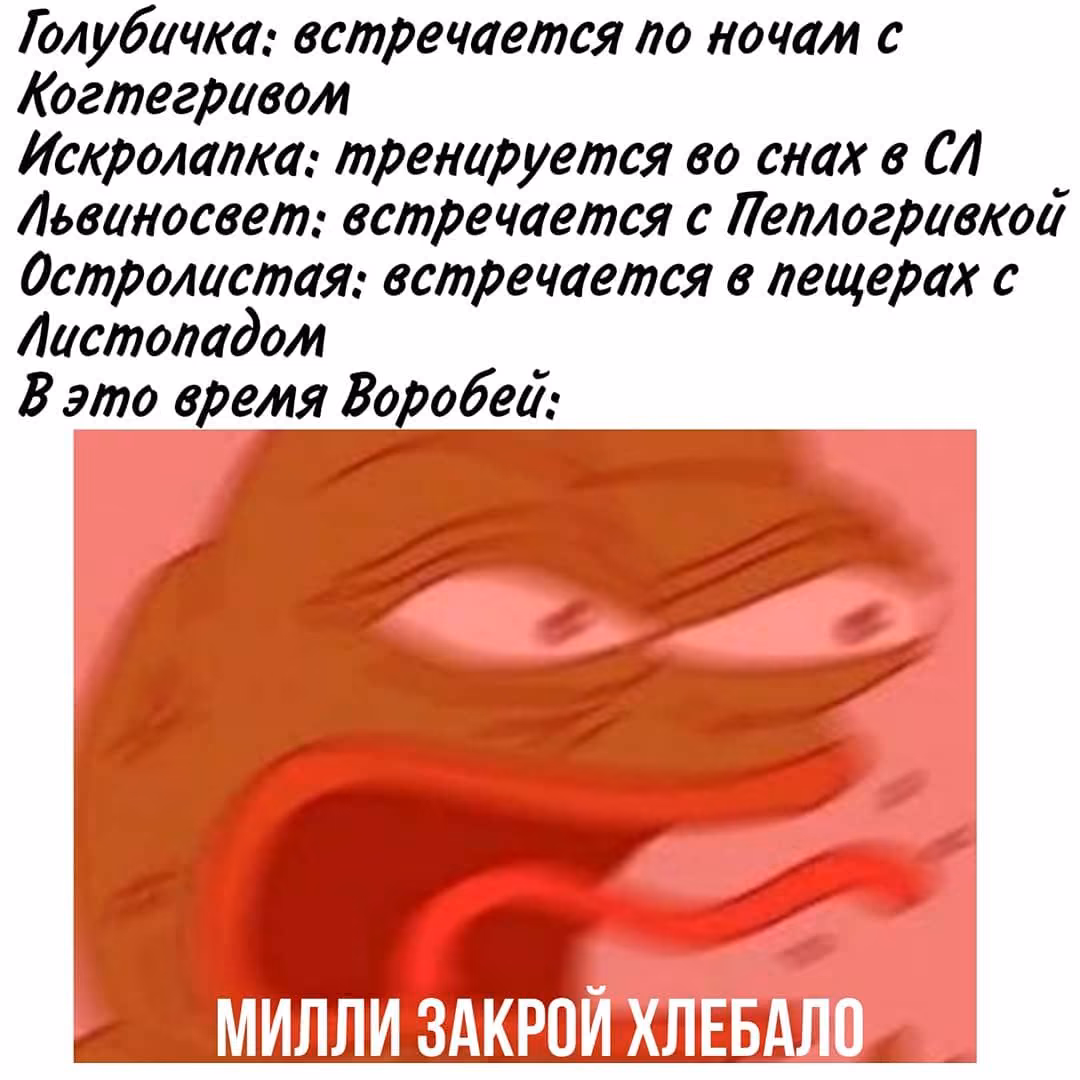 cbb1c532212f3bf4c02e07bb724513b7.avif