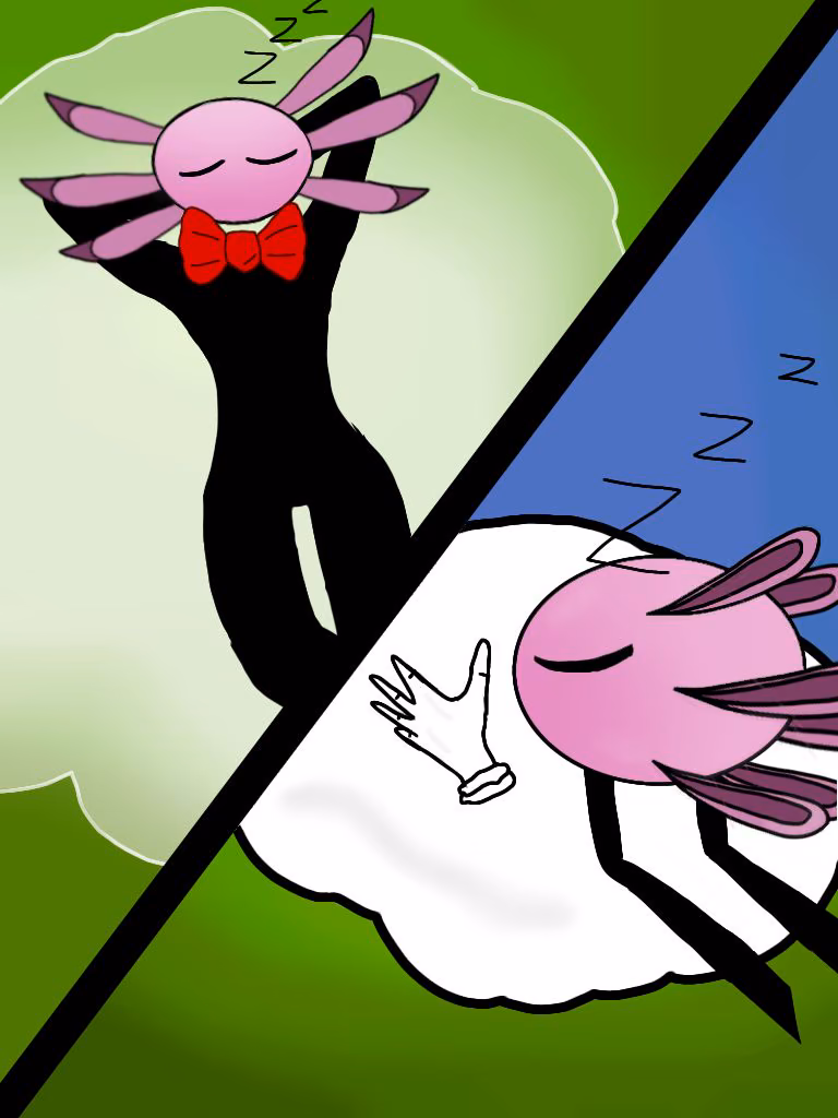 cbbff6a6838c84138d176e0c1f9c2f2a.jpg