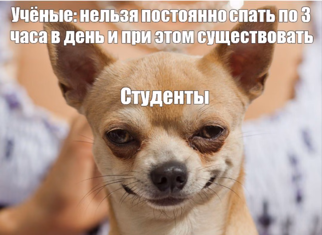 cbe87acf2c9dedd64ce1099a4c448fd2.avif