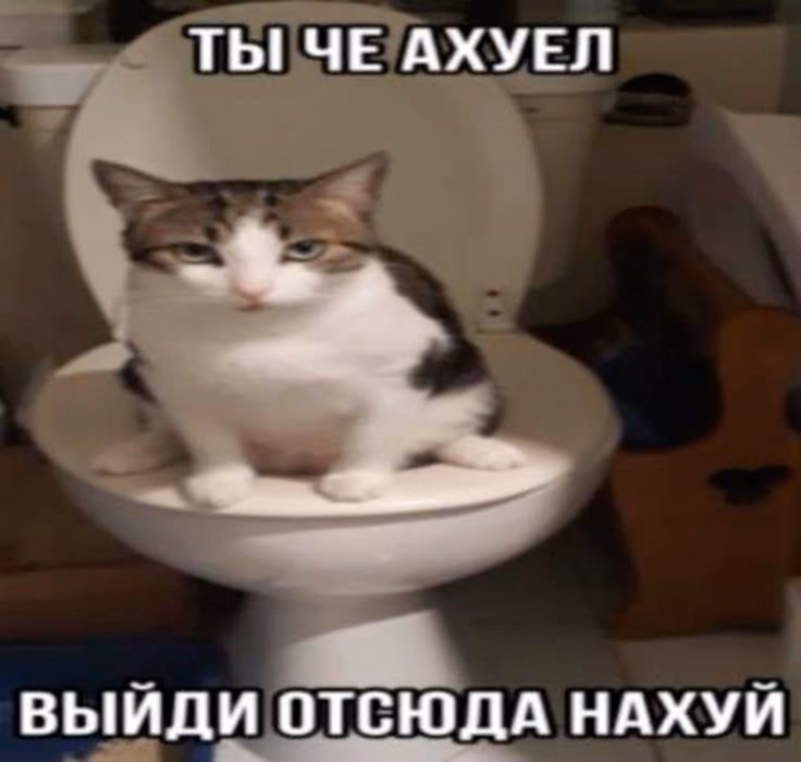 cbe90dfd72cbff2a7167751b45e200cd.jpg