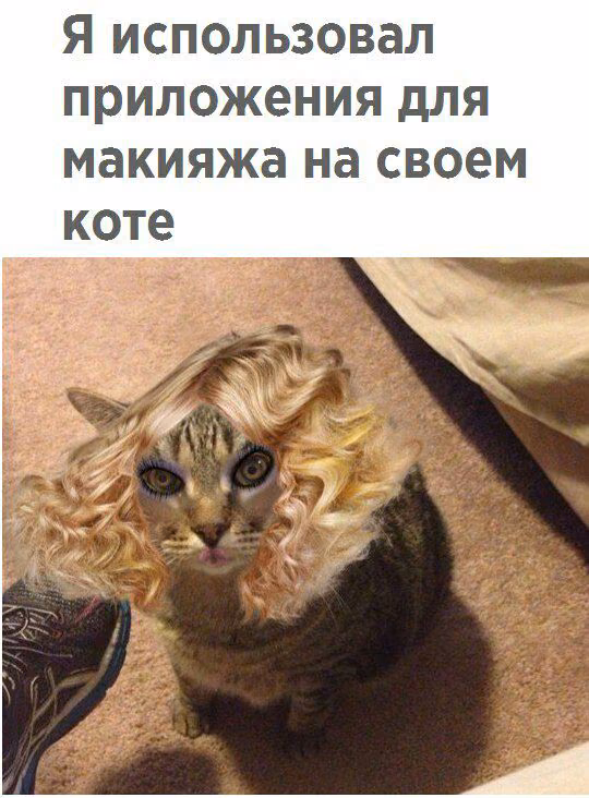 cbeee54cc4dfb14ccf37ff3a70d2d83f.avif