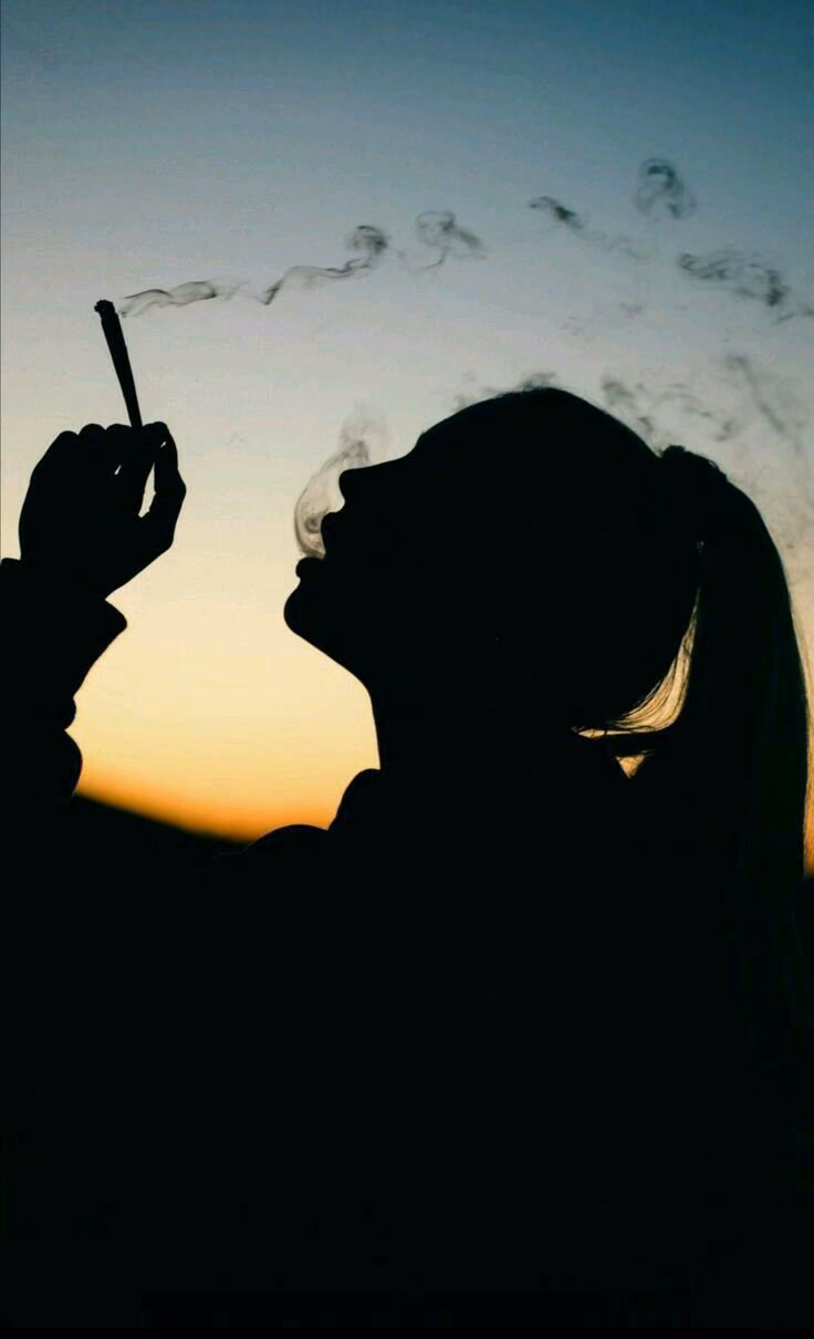 cc1faef12b56bc2744fc5db2b03f3b80.avif