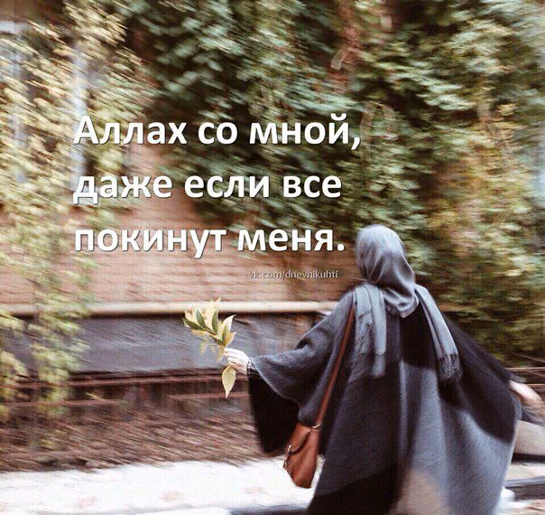 cc4859cf51297503c2e3f0ca08d9a20d.avif
