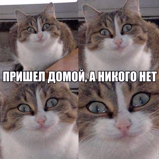 cc5f1889d2c95b55288991e24260bb07.jpg