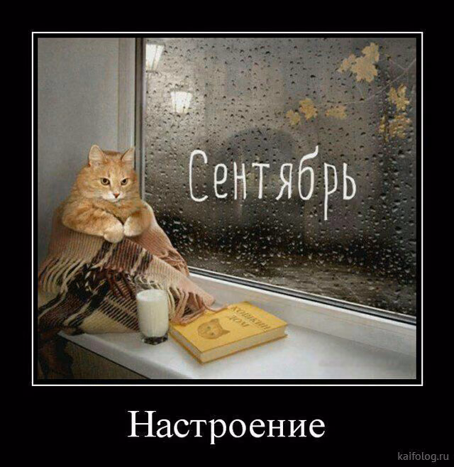 cc6c39da7b1802e47aa057e7162c34fc.avif