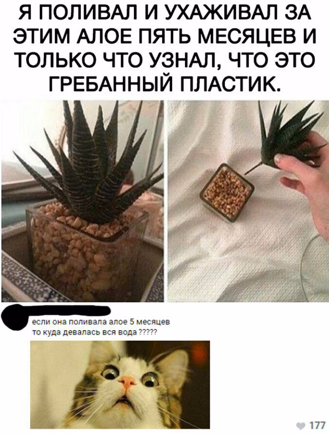 cc6e1f404e03ef1eabce75f9d98d0973.avif