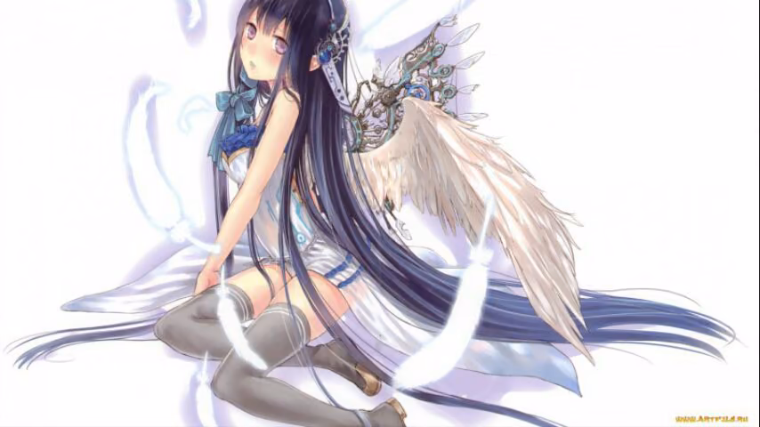 cc7394141ad1bbae2e34904d0c7a5d01.avif
