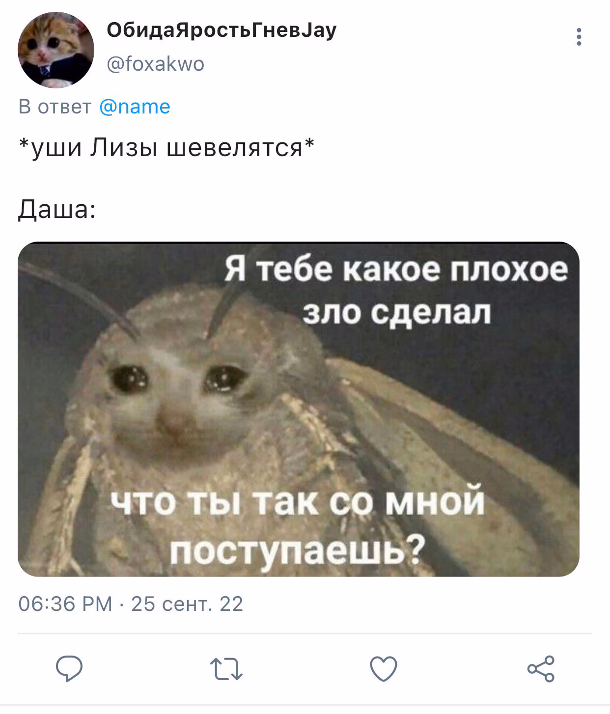 cc76b50f341de53c54e9f700b9b4e2ae.jpg