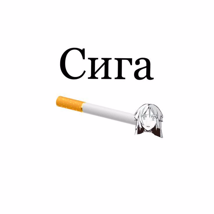 cc8c4404ac323a4392e9673e45d34cfe.jpg