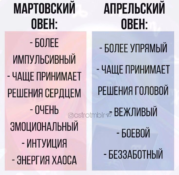 cc94cd9e1034301cc8cc202f8591ac44.avif
